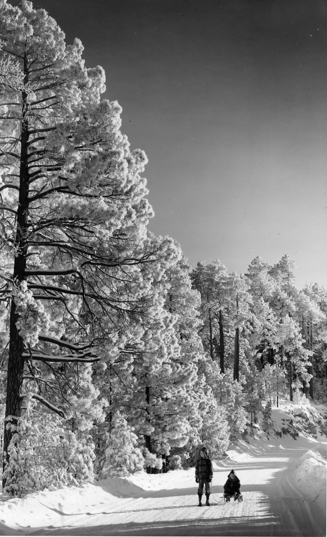 White World